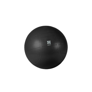 Commercial Stability Ball