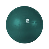 Commercial Stability Ball